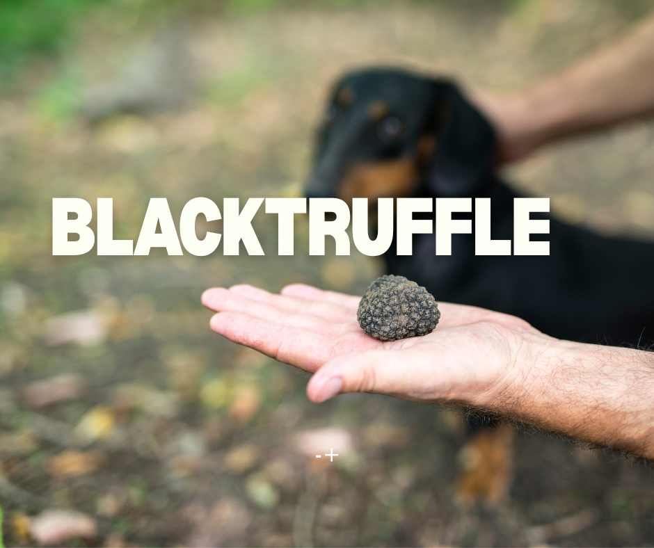 black truffle